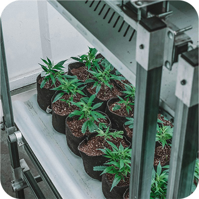 Atmosfera controlada